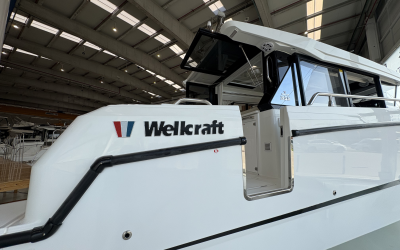 WELLCRAFT 355