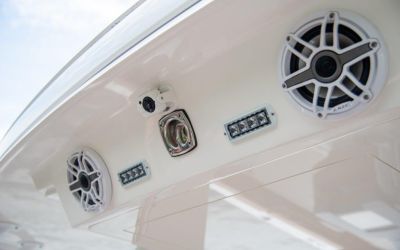 Regal 38 Surf