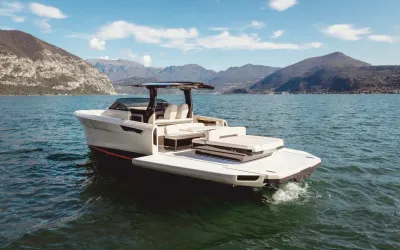 Bellini Astor 36