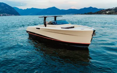 Bellini Astor 36