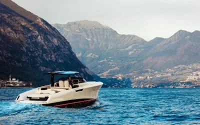 Bellini Astor 36