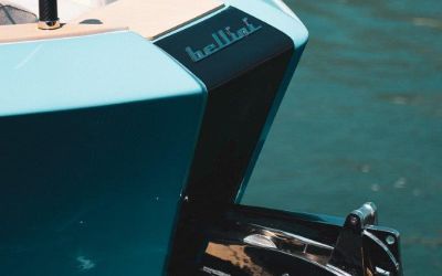 Bellini Astor 36