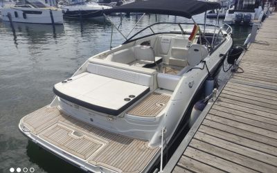 SEA RAY SUN SPORT 250