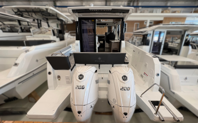 JEANNEAU MERRY FISHER 895 Serie 2