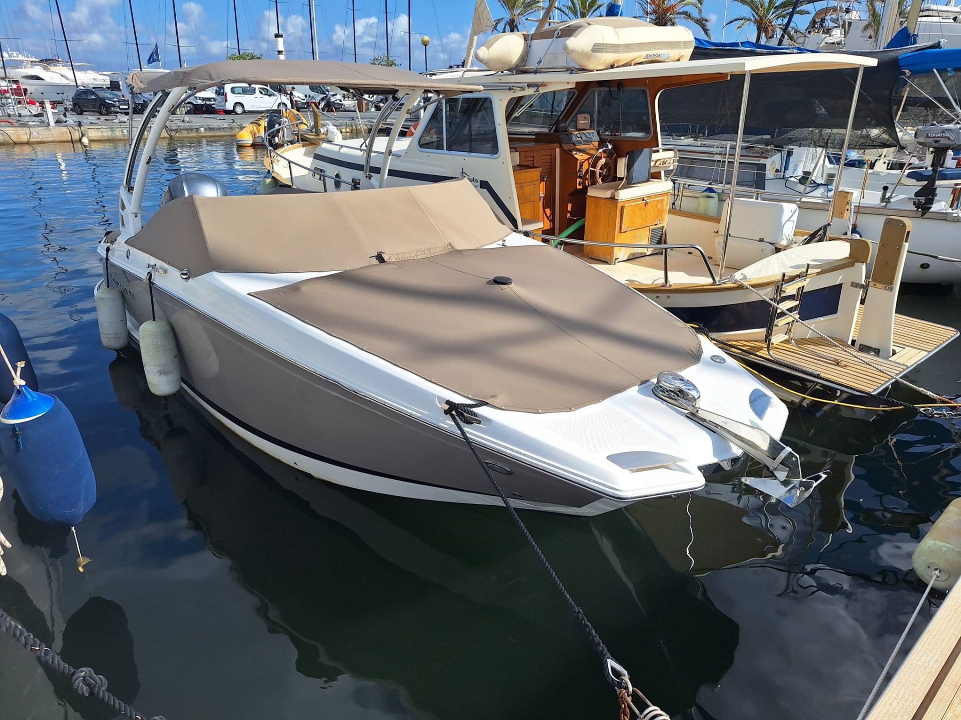 COBALT 23 SC