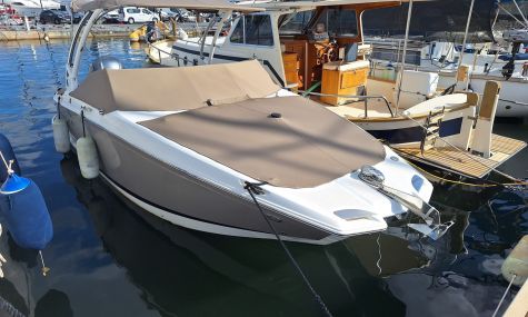 COBALT 23 SC