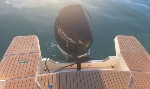 QUICKSILVER ACTIV 805 C