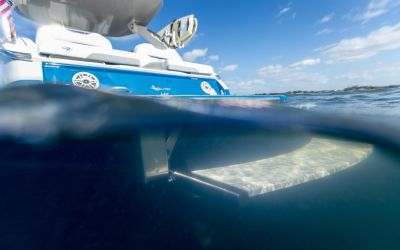 Regal LS9 Surf - Ultimate