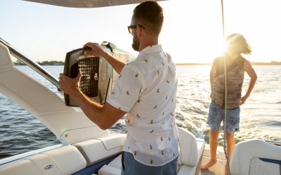 Regal LS9 Surf - Ultimate