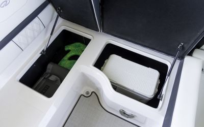 Regal LS2 Surf