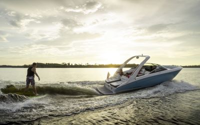 Regal LS4 Surf