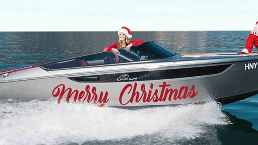 ¡FELIZ NAVIDAD Y PRÓSPERO AÑO NUEVO!