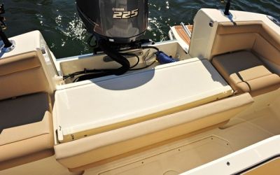 Scout 255 LXF