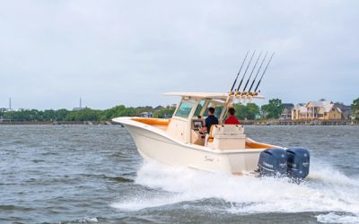Scout 300 LXF