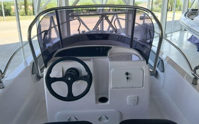 RANIERI VOYAGER 19 S